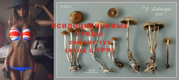 mdpv Арсеньев