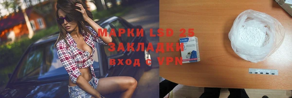 ГАЛЛЮЦИНОГЕННЫЕ ГРИБЫ Аркадак