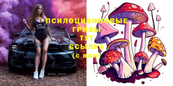 гидра Армянск