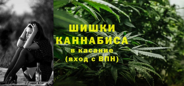ГАЛЛЮЦИНОГЕННЫЕ ГРИБЫ Аркадак