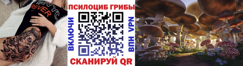 закладка  блэк спрут маркетплейс  Псилоцибиновые грибы ЛСД  Сураж 